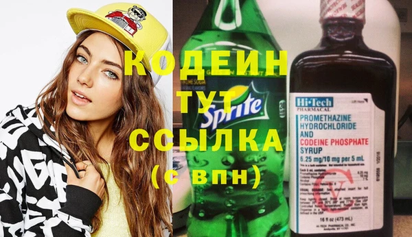 spice Бородино