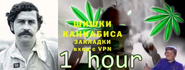 гидропоника Беломорск