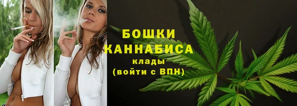 a pvp Тайга